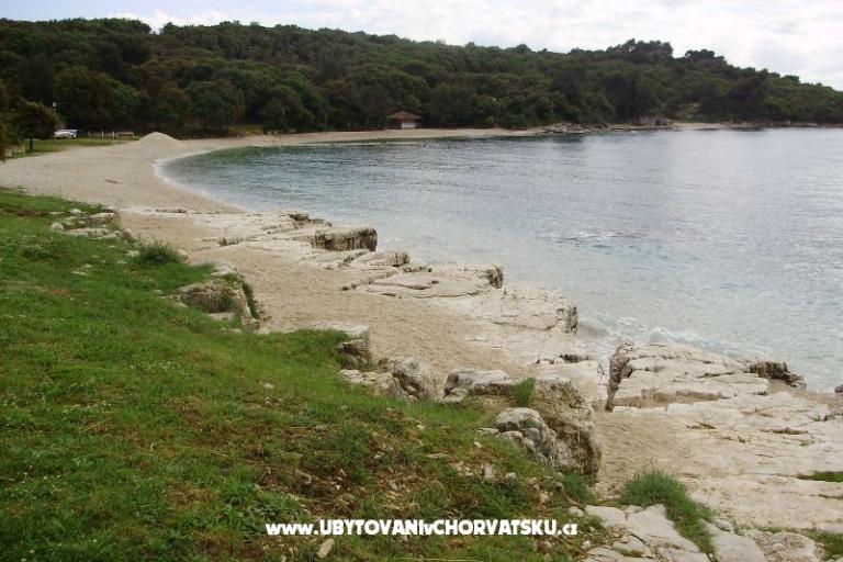 Apartament Pinzan – foto 16