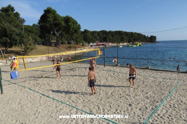 Apartament Stoja – foto 12