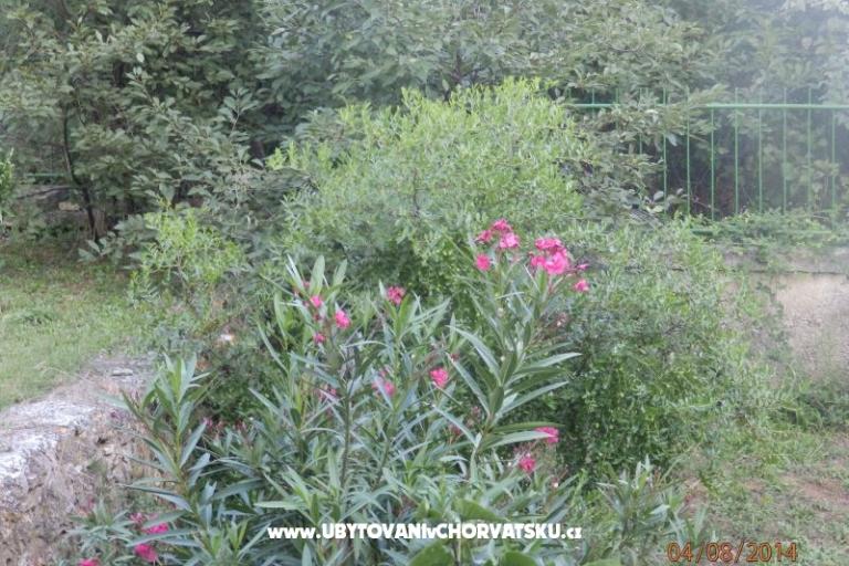 Apartament Valdebek – foto 15