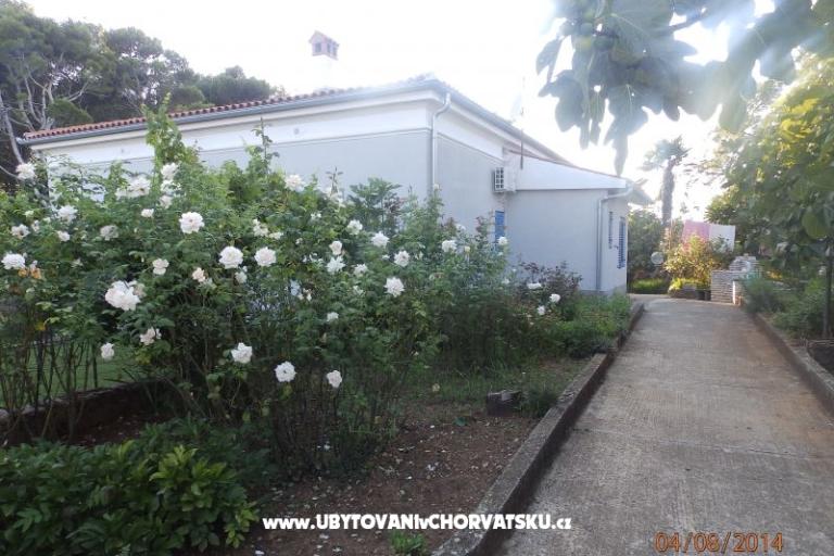 Apartament Valdebek – foto 16