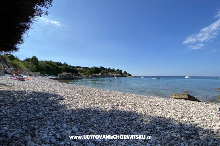 Apartament Viktorija – foto 6