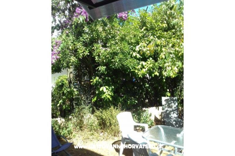 Apartament Zora Pula – foto 27