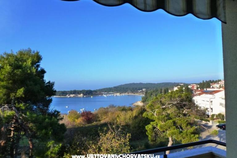 Apartamenty Grbin – foto 12