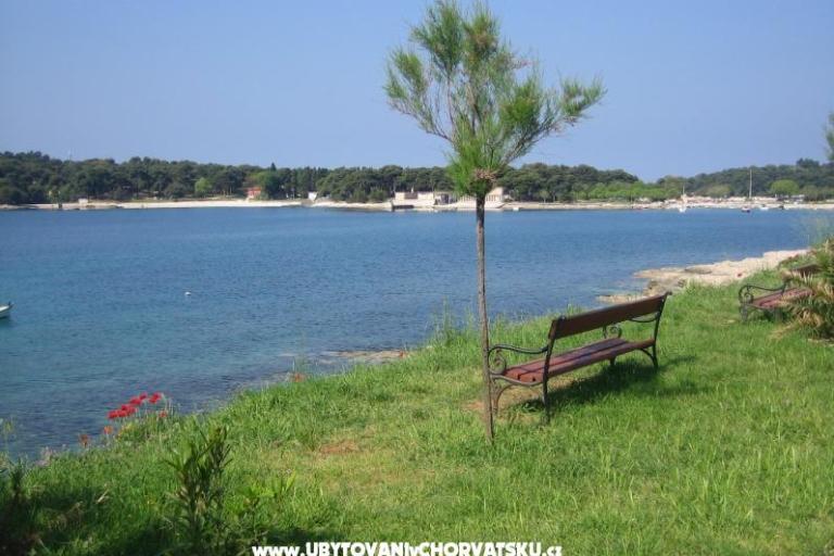 Apartamenty Grbin – foto 15