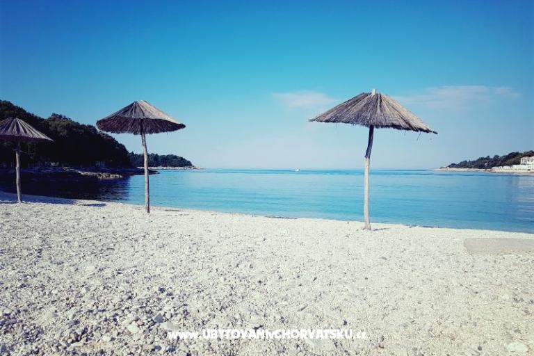 Apartamenty Perunika – foto 6