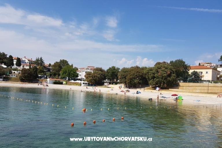 Apartamenty Perunika – foto 8