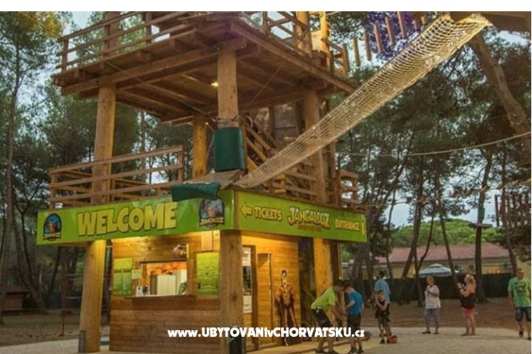 Apartamenty Udovičić – foto 18