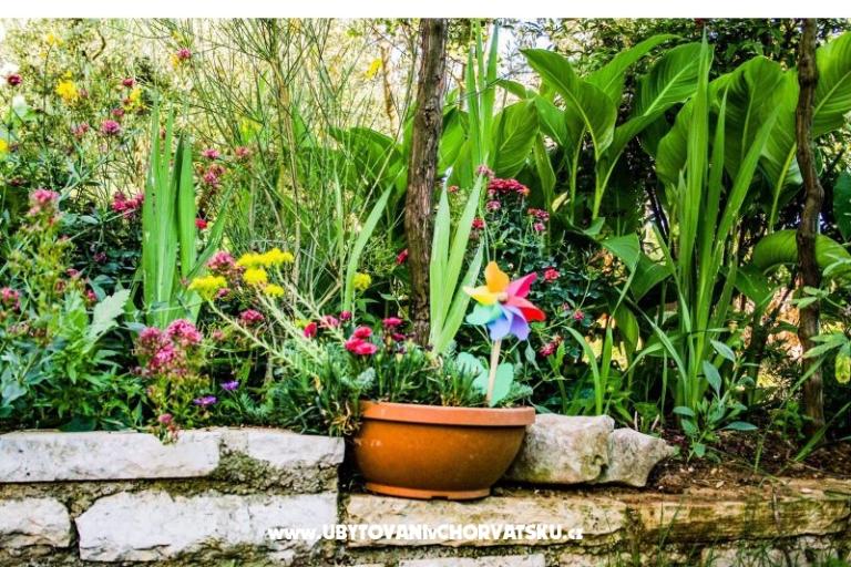 Apartament pool Slivar – foto 12