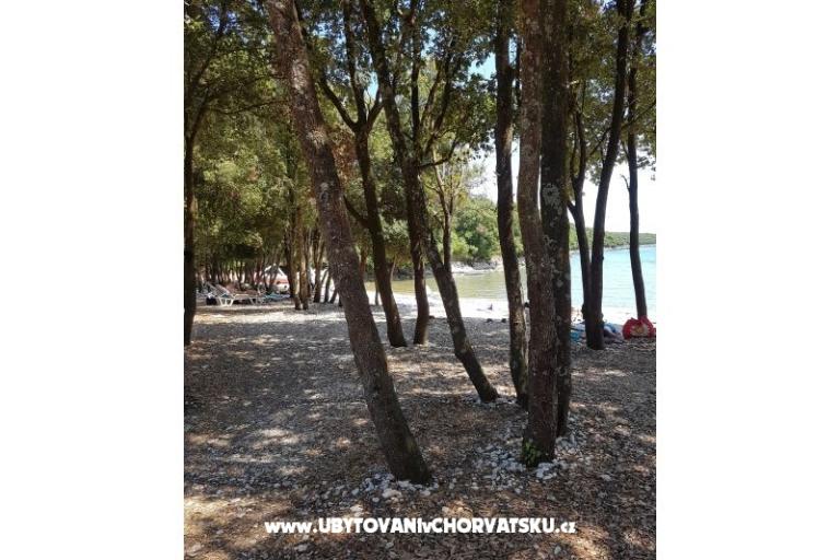 Apartamenty Duga Uvala – foto 15