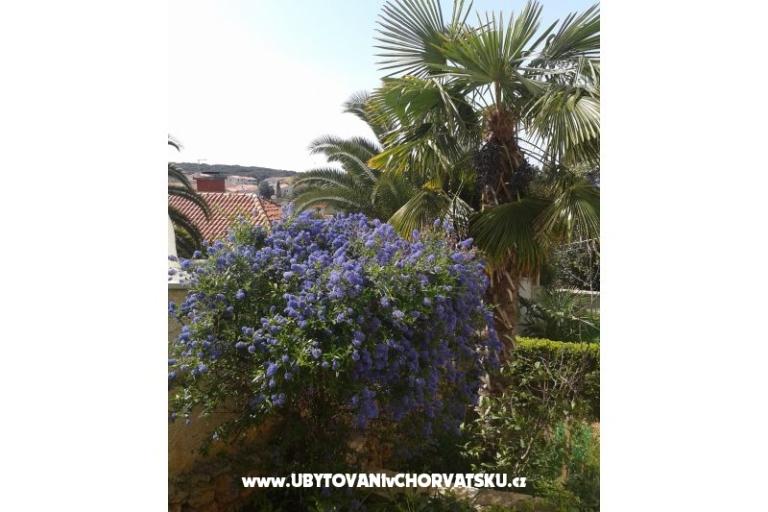 Apartamenty Ivana – foto 14
