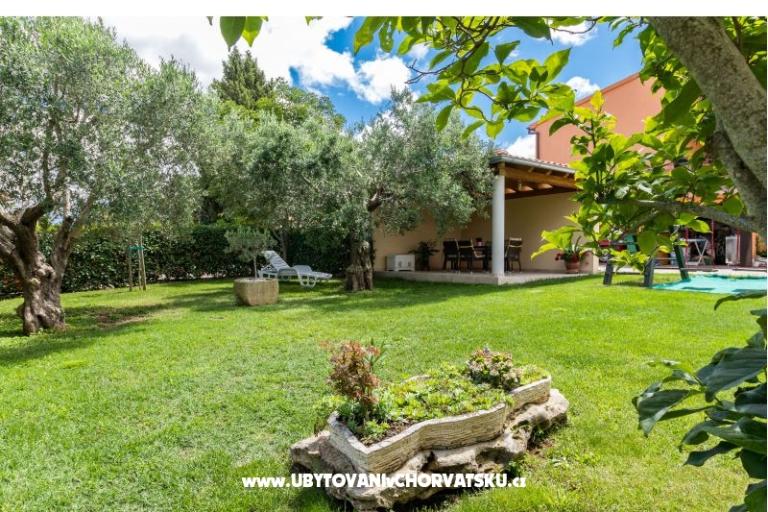 Apartamenty Moscarda – foto 13