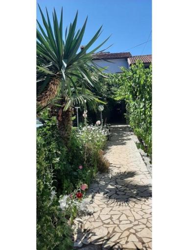 Apartamenty Alida Stinjan – foto 21