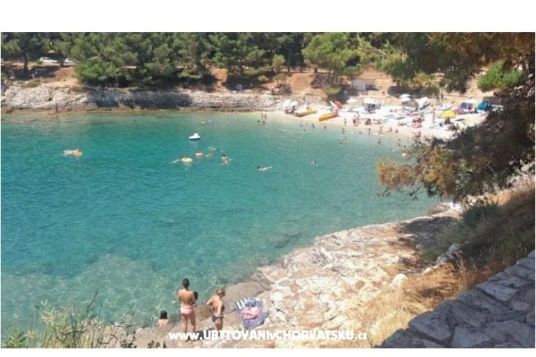 Apartamenty Tea – foto 17