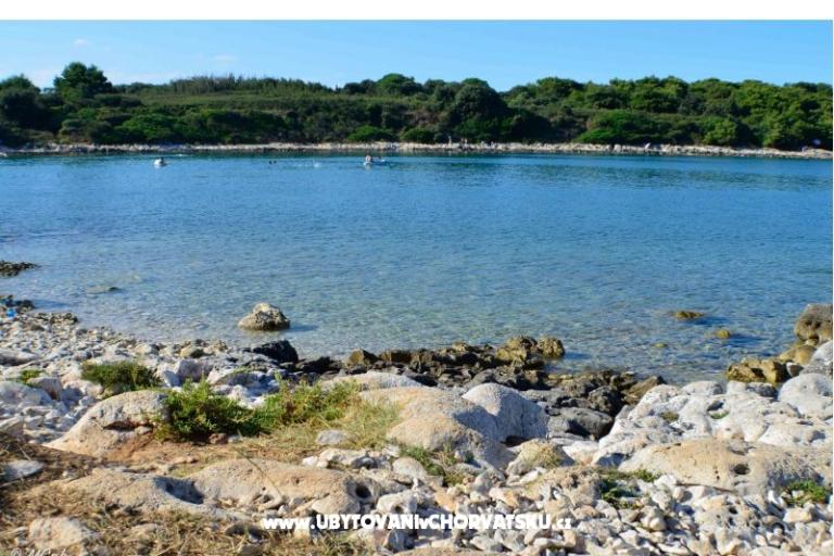 Arcobaleno Appartamenti – foto 4