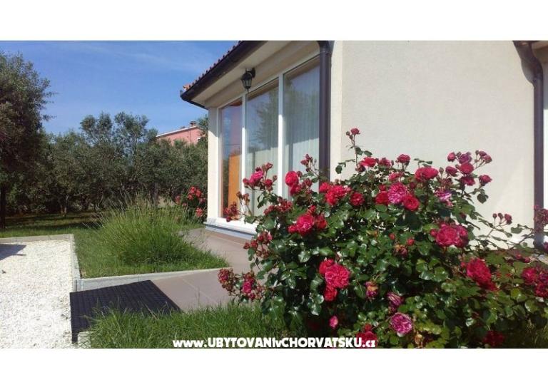 Dom wakacyjny Brcina – foto 7