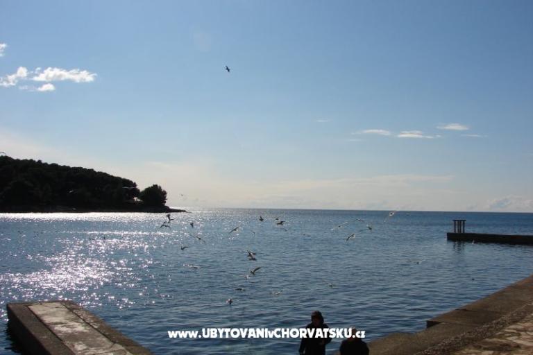 Apartament Petra – foto 11