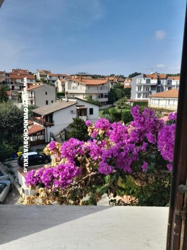 Villa Tanja – foto 5