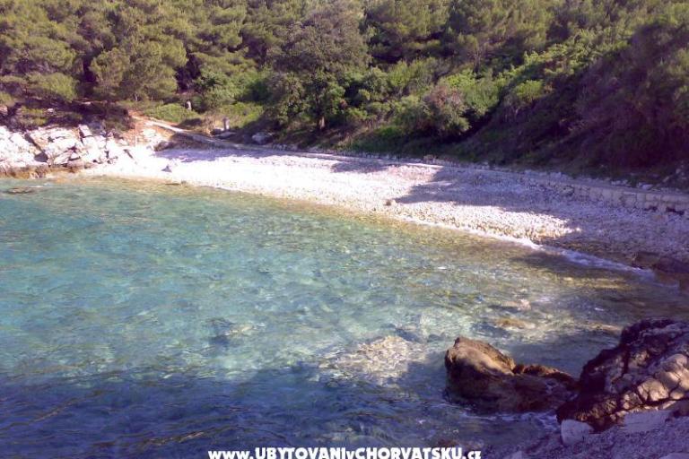Apartamenty Ankica – foto 7