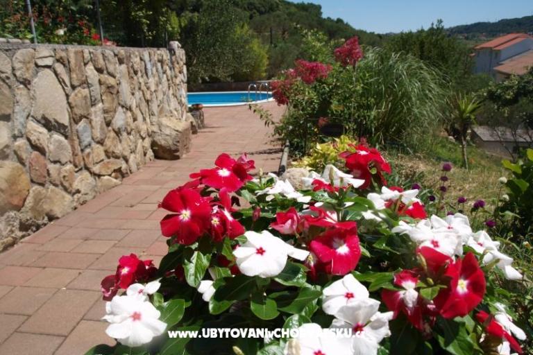 Apartamenty Dumičić – foto 8