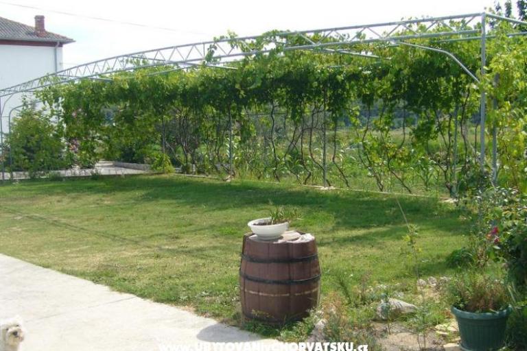 Apartamenty Mare – foto 6