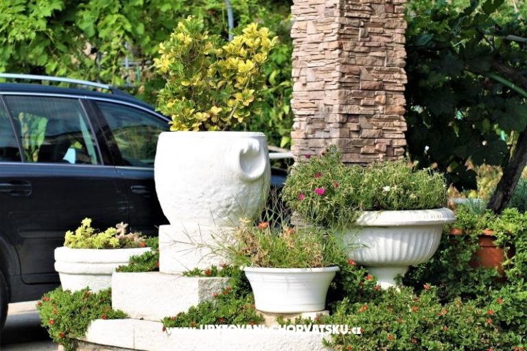 Apartamenty Sandra – foto 12