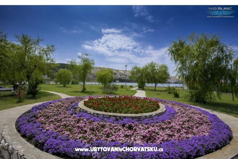 Apartamenty Sandra – foto 2