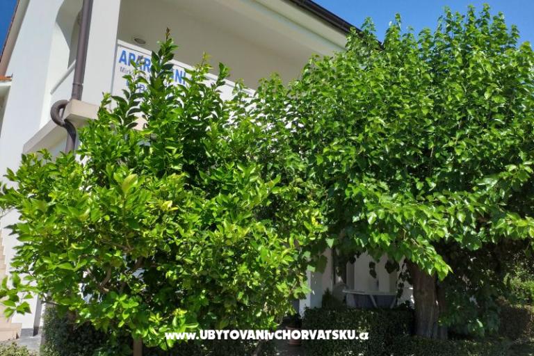 Apartamenty Snjezana – foto 8