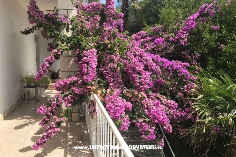Apartamenty  Španjol – foto 4