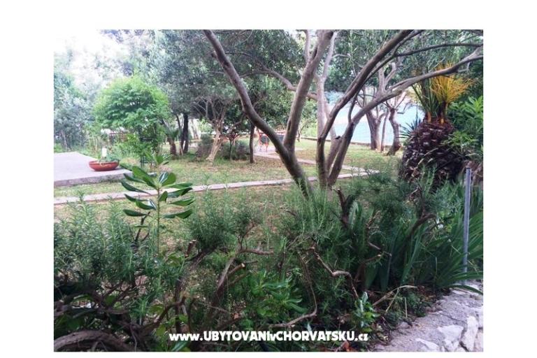 Apartamenty Supetarska Draga – foto 15