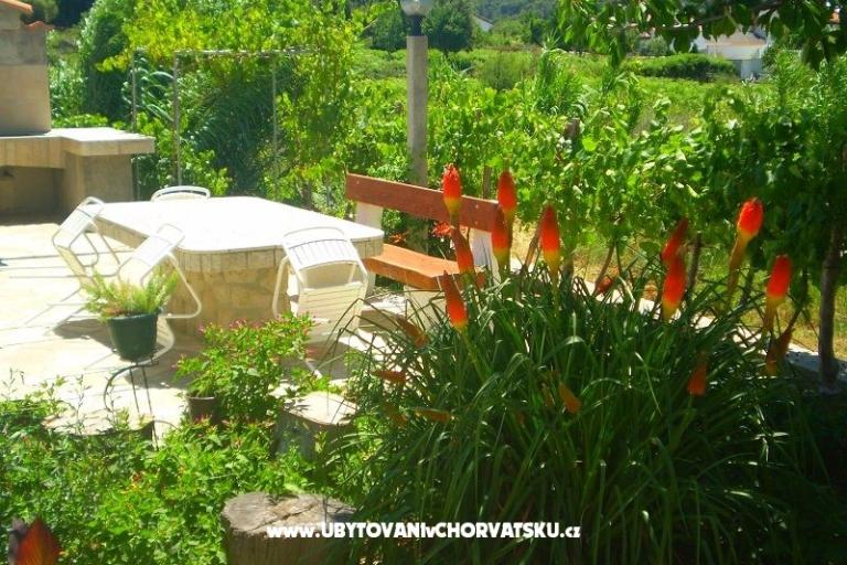Apartamenty Vesna – foto 17