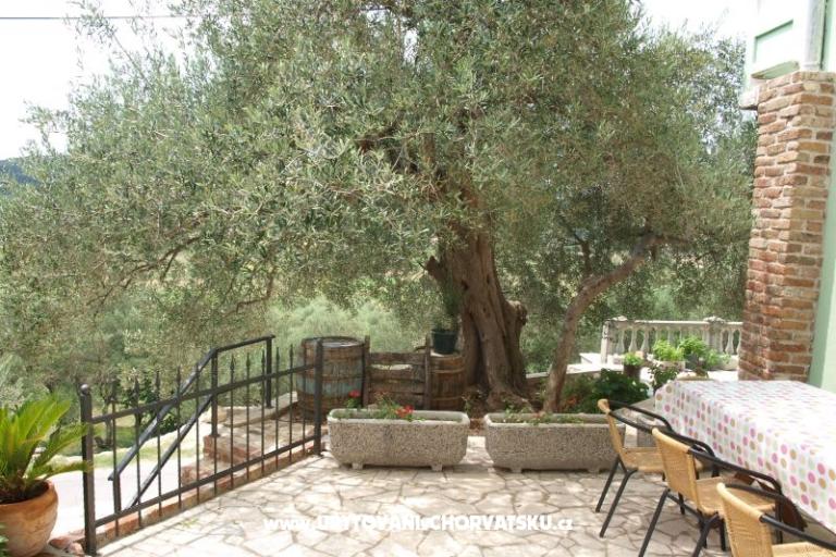 Apartamenty Dumičić – foto 2