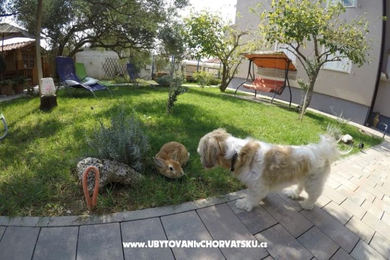 Apartamenty- Villa Ilijic – foto 11