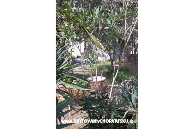 Pokoje Jadra – foto 6