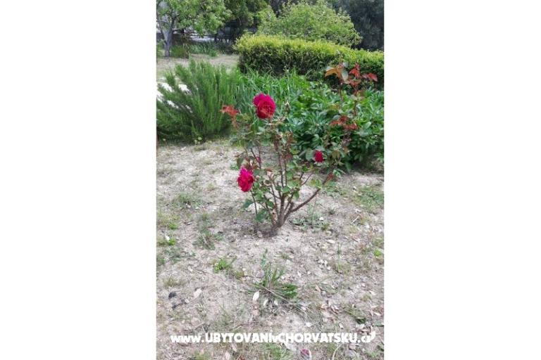 Pokoje Jadra – foto 7