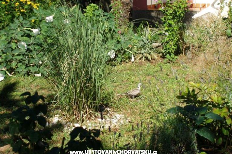 Apartamenty Malvina – foto 10