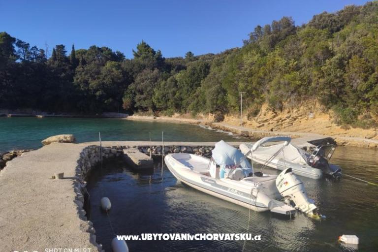 Apartamenty uvala Vardoža – foto 49