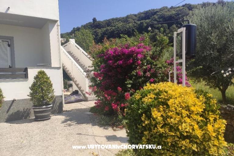 Apartamenty uvala Vardoža – foto 54