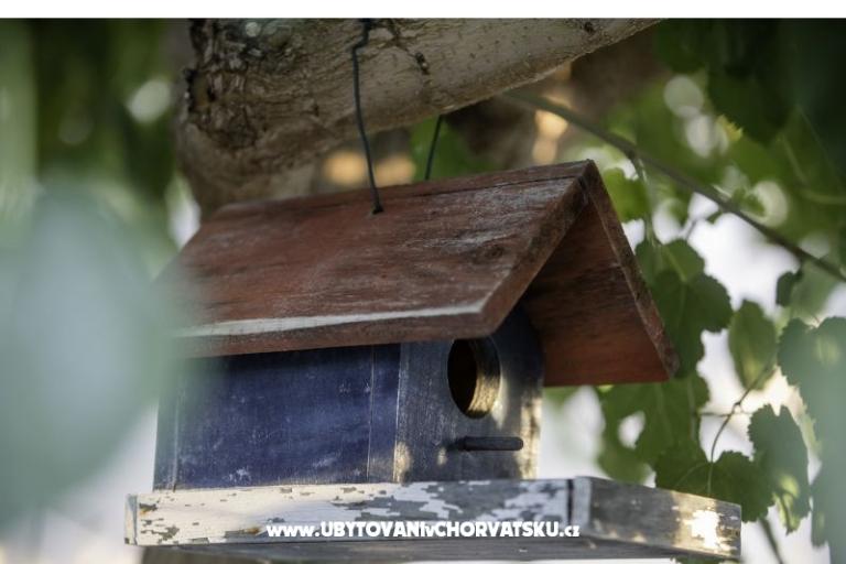 APARTMANI DEBELIĆ – foto 10