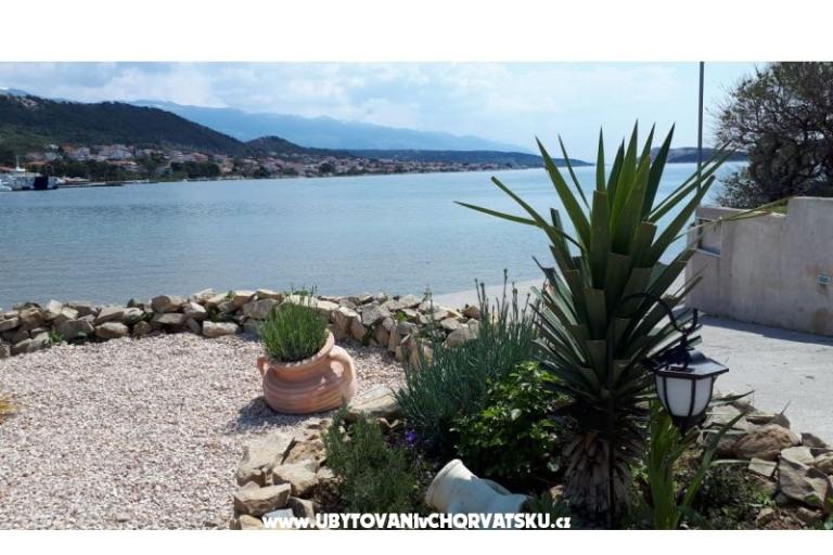 La Gatta Apartamenty – foto 13