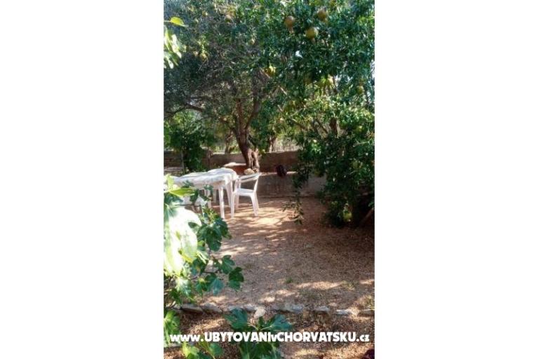 Studio Apartamenty Vidas – foto 13