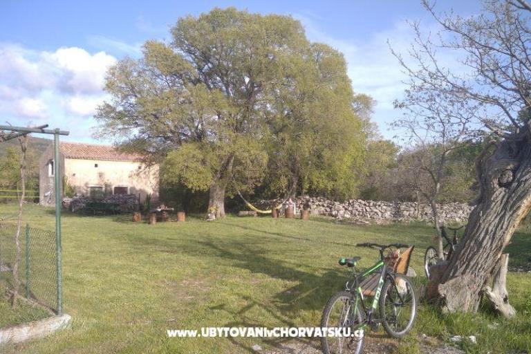 Traditional Istrian Dom ENI – foto 4