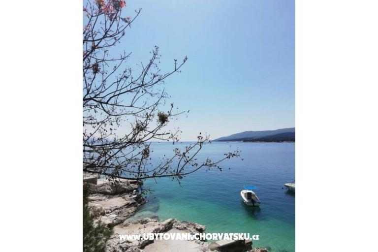 Traditional Istrian Dom ENI – foto 7