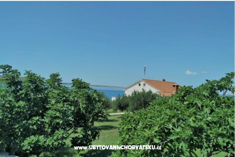 Apartament Miočić - Adam – foto 13