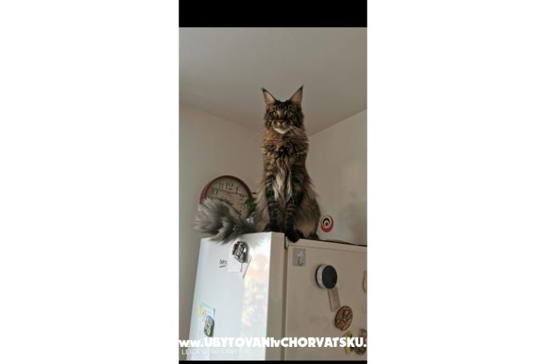 Apartamenty CAPE – foto 35