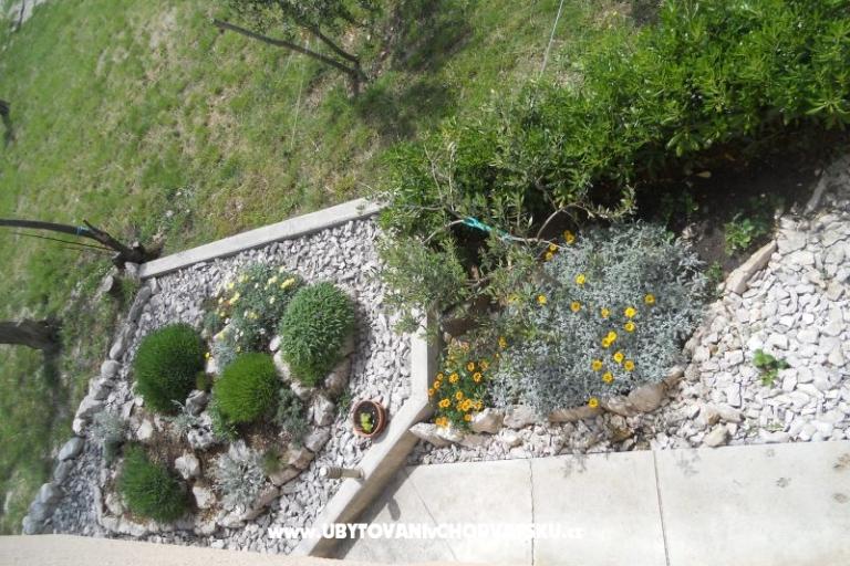 Apartamenty JIDRA – foto 12