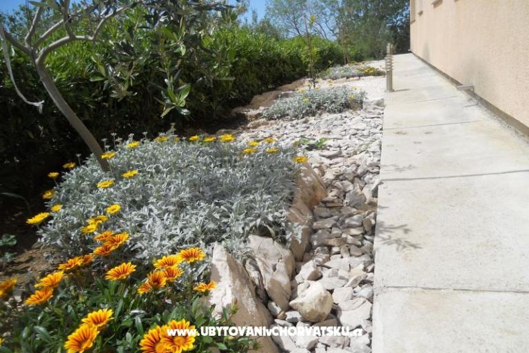 Apartamenty JIDRA – foto 16