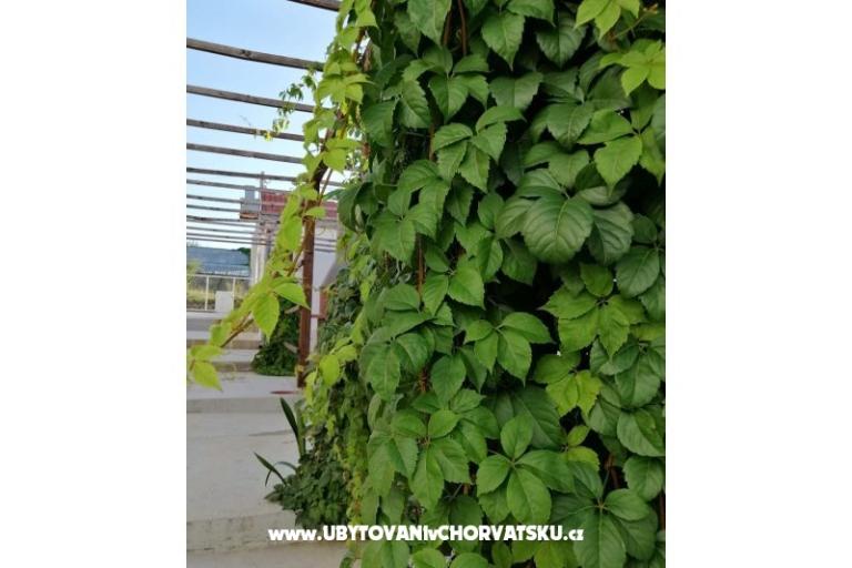 Apartamenty Kožul – foto 14