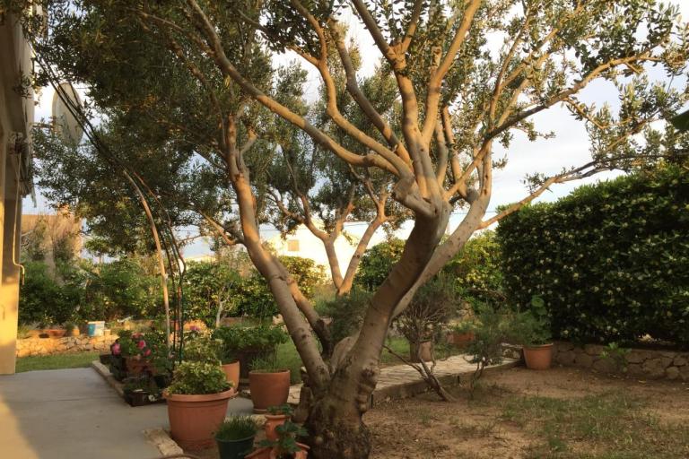 Apartamenty Biba i Luce – foto 2