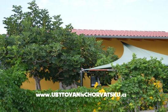 Apartamenty Negro – foto 9