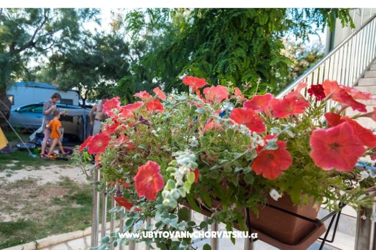 Apartamenty Puntica – foto 3
